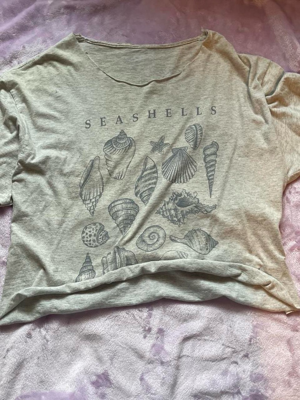 Seashells Graphic Tee - Light Gray